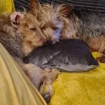 Suzanne Lynch - @suzannelynch1963 - Instagram