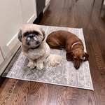 Suzanne Lynch - @lynch.suzanne - Instagram