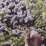 Suzanne Lynch Photography - @suzanneclynch - Instagram