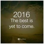 Suzanne Lyons - @suzannelyons701 - Instagram
