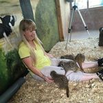 Suzanne Lyons - @suzanne.lyons.96558 - Instagram