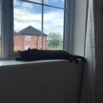Suzanne Lyons - @suzanne.lyons1 - Instagram