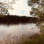 Olivia, Suzanne, Madison - @meditating_chaos - Instagram