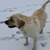 Suzanne Magee - @suzanne.magee3 - TikTok