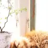 marcyxsuzannec - @marcyxsuzannec - TikTok