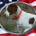 Suzanne Marlow - Facebook
