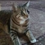 Suzanne Mathieu - @mathieusuzanne - Instagram