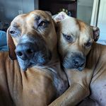 Suzanne Mathieu - @rebrokerbrevard - Instagram