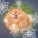 Suzanne Matias - Facebook