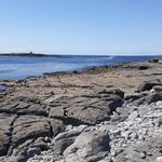 Suzanne Mcbride Charles - @suzannemcbridecharles - Instagram