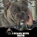 Suzanne McMann - Facebook