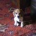 Suzanne McKay - Facebook