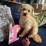 Suzanne Mckee - @suzannemckee47 - Instagram