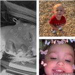 Suzanne Mckee - @suzannem3438 - Instagram