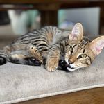 Suzanne Mcmillen-Hampton - @skh750 - Instagram