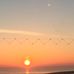Mcnulty Suzanne - Facebook