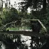 Suzanne McPhail - @suzannemcphail - TikTok