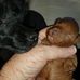 Suzanne Mears - Facebook
