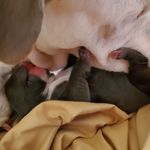 Suzanne Medina - @suzanne.medina.986 - Instagram