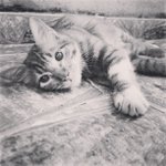 Suzanne Medina - @permatice - Instagram