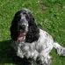 Suzanne Merchant - Facebook