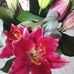 Suzanne Meyer - Facebook