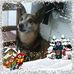 Suzanne Meyer - Facebook