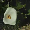 Suzanne Meyer - @suzanne.meyer75 - TikTok