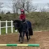 Suzanne Meyer - @suzanne.meyer4 - TikTok