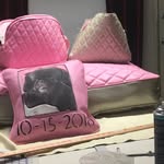 Suzanne  minter - @bls_suzy - Instagram