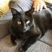 Suzanne Minier - Facebook