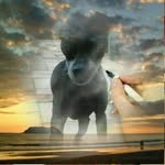 Suzanne Moreno - @morenosuzonnt44 - Instagram