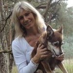 Suzanne Morse - @suzannemorse7 - Instagram