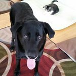 Suzanne Morse - @morsesuzanne - Instagram