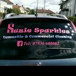 Suzie Sparkles - @morse.suzanne - Instagram