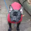 suzanne mullins - @puppieloo - TikTok