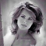 Suzanne Murphy - @suzannemurphy899 - Instagram