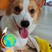 Suzanne Ng - Facebook