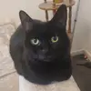 Suzanne Lamie - @suzanne.nickels - TikTok