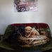 Suzanne Nickerson - Facebook