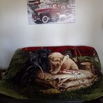 Suzanne Nickerson - @suzanne.nickerson.14 - Instagram