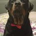 SuZanne Lynn - Facebook
