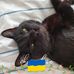 Suzanne Nilsson - Facebook