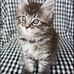 Suzanne Nilsson - Facebook
