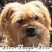 Suzanne Northam - Facebook