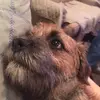 suzannenorth - @suzannenorth - TikTok