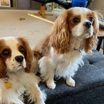 Suzanne Olson - @suzanneolson791 - Instagram