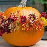 Suzanne Tunison Osmer - @osmersuzanne - Instagram