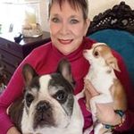 Suzanne Otto Garrard - @suzannegarrard - Instagram