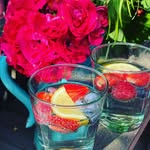 Suzanne Papa - @edvermuric2 - Instagram